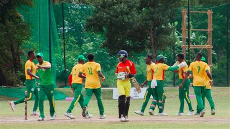 cric buzz live|Cameroon vs Mali, 4th Match .